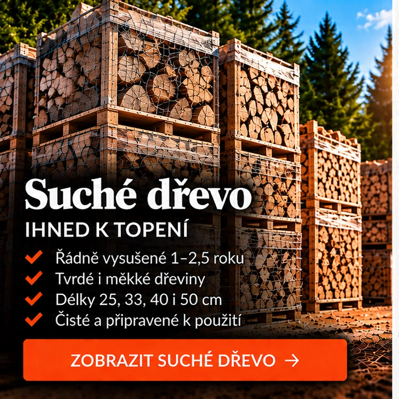 Suché dřevo