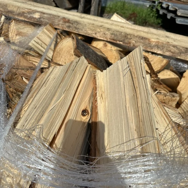 Jehličnatá + listnatá směs Patfix 